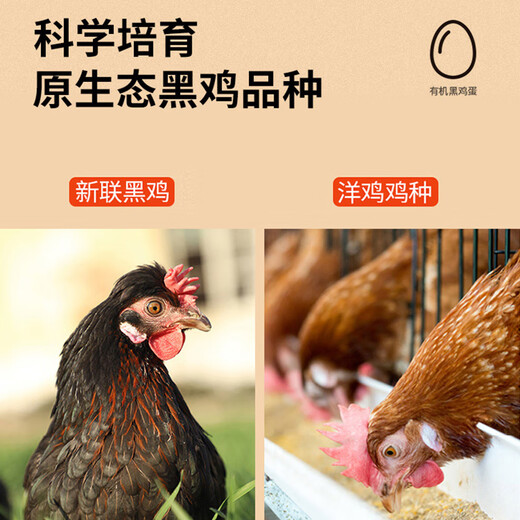 Cui Xianxuan organic fresh black eggs 30 pieces Anti-hormone-free ecologically cultured Cui Yongyuan Zhenxuan gift box for giving away 30 pieces 1.2kg Cui Xianxuan organic fresh black eggs 30 pieces Anti-hormone-free ecologically cultured Cui Yongyuan Zhenxuan gift box for giving away 30 pieces 1.2kg