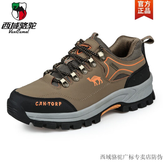 Western Region Kamelkamel-Kamel Herrenschuhe echte Leder-Wanderschuhe Herrenleder wasserdichte Sportschuhe tragen resistente Bergklettern im Freien Wanderschuhe Militärgrün ST14088 XW-Camel Offizielle Marke Offiziell 41