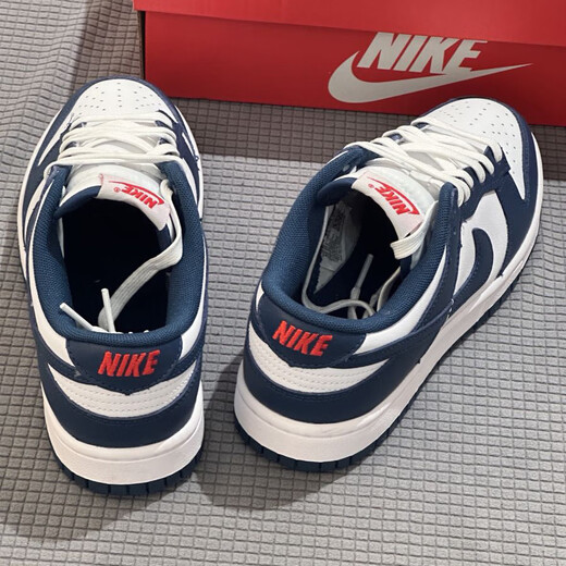 耐克（NIKE）男鞋2025新款夏季Dunk Low低帮板鞋运动鞋轻便舒适透气休闲鞋 DD1391-400蓝色 41