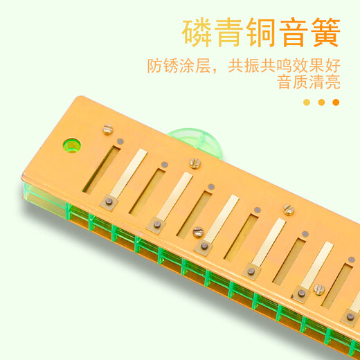 Guoguang harmonica 24-hole polyphonic accent echo performance level male and female adult beginner students introductory instrument C-tune old style 24-hole C-tune silver Guoguang