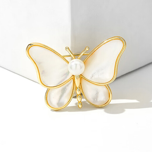 Bai Qixin butterfly brooch female niche design insect tassel literary spring and summer birthday gift simple and versatile accessories brooch white butterfly