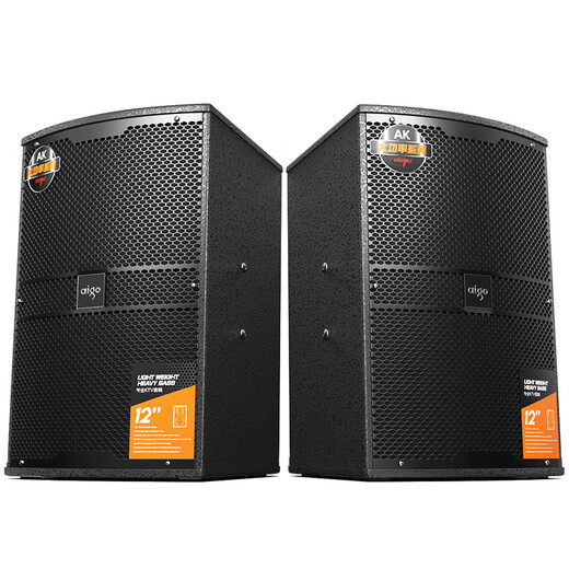 Patriot conference room audio set 12-inch small and medium-sized home KTV background training special stage gym speaker wall-mounted speaker