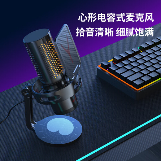 Newman ZM09E computer microphone game live broadcast microphone anchor dedicated desktop microphone desktop laptop e-sports dubbing class recording karaoke noise reduction USB independent microphone