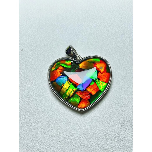 DRJEFUN Canadian Ammonite Pendant Ammonite Pendant Ammonite Pendant