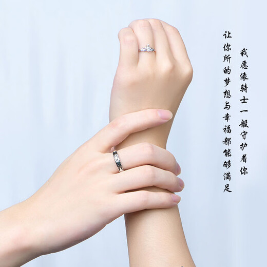 EothPT950 platinum princess and knight couple rings for women, a pair of rings, platinum Valentine's Day birthday gift for girlfriend, a pair of platinum moissanite diamond rings + certificate