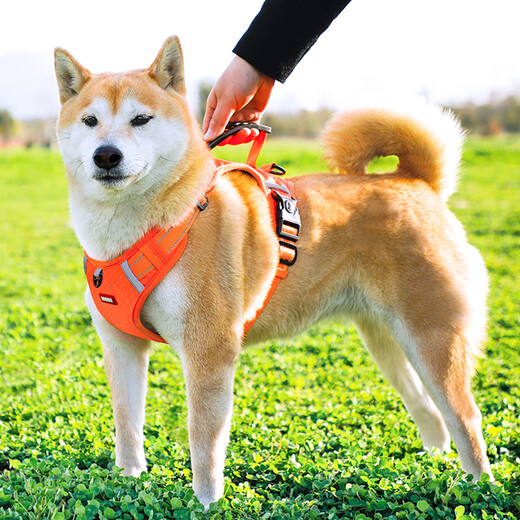 Luomasi dog leash vest-style harness dog leash large and medium-sized dogs Shiba Inu Corgi French Dou collar pet dog leash orange harness M-recommended weight 15-28 Jin Jin equals 0.5 kg