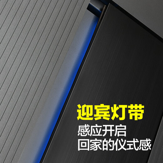 纵航者2024新款智慧门精雕铸铝门高端防盗门入户门全屋智联智能门 2050*1050【单门】