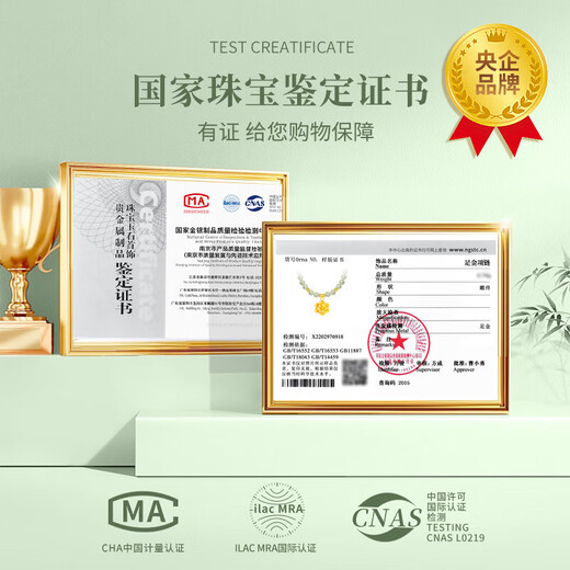 CHINA GOLD Hetian Jade Gold Necklace Women's Gold Peony Pendant Birthday Gift for Wife and Mom Practical and High-end Pure Gold Peony Necklace Jingsuda