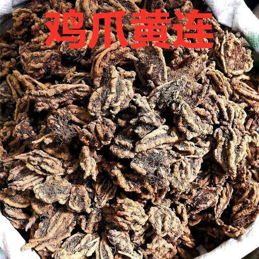 Premium Coptis Seeds, Chinese Medicinal Coptidis Seeds, Chicken Claw Seeds, Coptis Seeds, New Seeds, 500 capsules