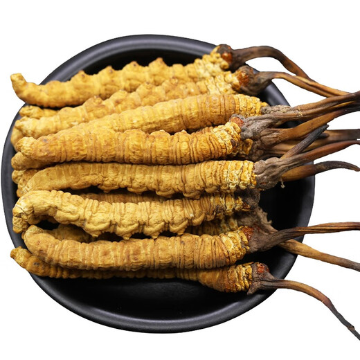 Selected authentic snow mountain cordyceps sinensis genuine first-stage fresh cordyceps 50g gift box for 4 pieces/gram dry goods Tibet Nagqu Cordyceps 50 pieces for 4 pieces/gram