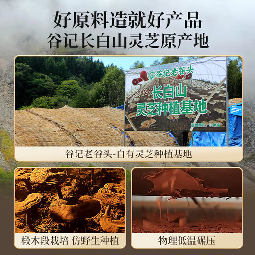 Старая Гуту Бломанная стена Ганодерма Lucidum Spore Powder Changbaishan Ganoderma lucidum укрепляет подарки для иммунитета для посещающих пациентов [6 месяцев] 3 коробки круглой квадратной коробки порошка спор