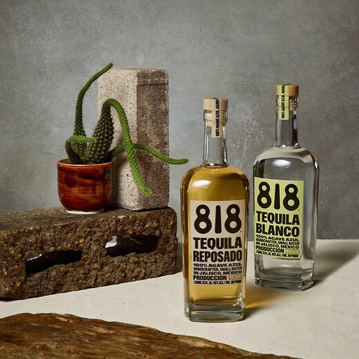 JiTu詹娜818金/银/陈酿龙舌兰酒TEQUILA肯达尔詹娜肯豆墨西哥进口洋酒 Reposado金龙舌兰 750mL
