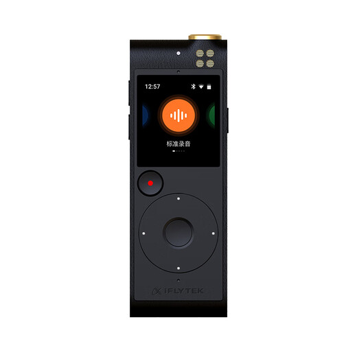 科大讯飞智能录音笔SR502T/SR702/SR302实时录音转文字离线翻译语音转写翻译机降噪录音笔专业录音笔 SR201星火版64G【会议纪要，语篇规整】