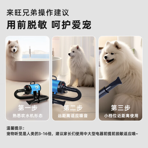 Laiwang Brothers Hair Dryer Pet Dog Hair Dryer Large Dog Special Dryer Hair Dryer High Power Blue (PD-9001)