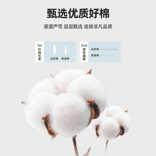NODE SPORTS品牌联名【两件装】短袖t恤男夏季新款短袖男透气休闲潮流上衣服 YY733杏色(DTY)+1799黑色B L