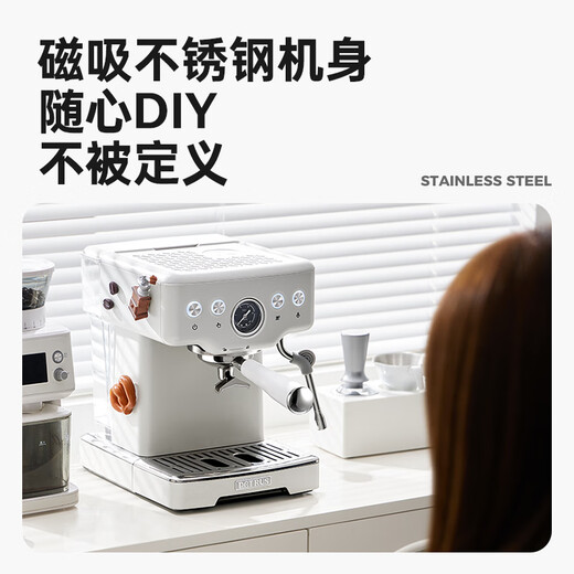 Petrus [National Subsidy] Coffee Machine Italian Concentrated Household Small Semi-Automatic Steam Milk Froth PE3833 Sea Salt Small Formula