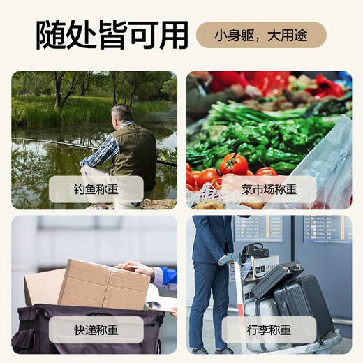 香山手提秤电子秤便携行李秤 高精度克秤电子称厨房弹簧秤家用挂钩称行李称重快递称迷你吊钩秤 电池款-0.04-50kg