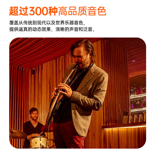 Roland (Roland) Haarrohr AE30 Professioneller Wind Elektronische Saxophon Multifunktionales Blasen und Spielen + Klavierbeutel + MB-Lautsprecher