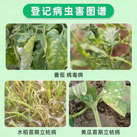 Hulianrui Kangshangmiaoqing 30% Amino-oligosaccharide Metalaxymexyl cucumber rice blight fungicide 80g (20g*4 bags)