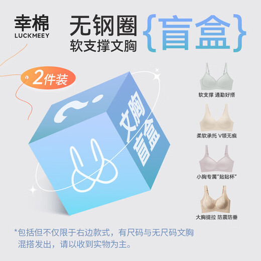 LUCKMEEY LUCKMEEY 2-piece blind box underwear for women without rims, traceless, small breasts look bigger and more comfortable, optional sizes 2 pieces, rim-free bra, random style and color M