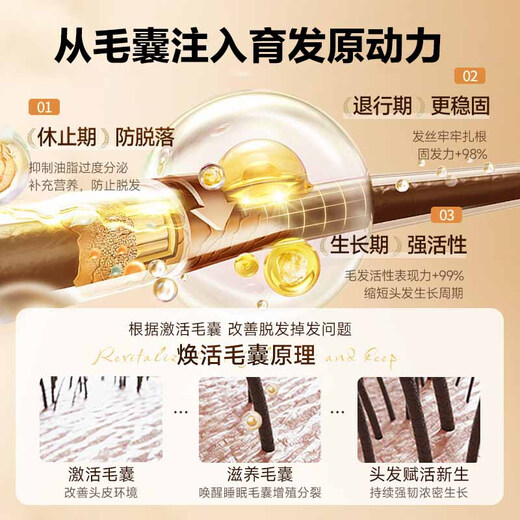 Tongrentang Anti-Deletion Shampoo Ginger Increase Hair Oil Control Fluffy Long Hair Heshou Polygonum multiflorum Ginger Wang Gu Hai 500g+8g
