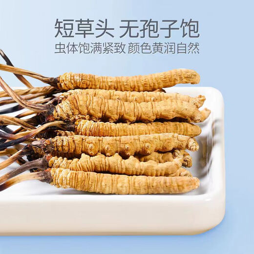 Wazang Genuine Cordyceps Cordyceps Gift Box in the Head Future Dry Cordyceps Cordyceps Cordyceps High Altitude 4 roots/g 10 grams Total 40 roots [Store Manager recommended]