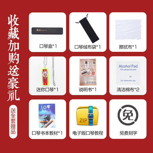 国光国光24孔复音C调口琴正品初学者学生男女儿童入门成人口风琴乐器 24孔C调复音黑色+自学礼包