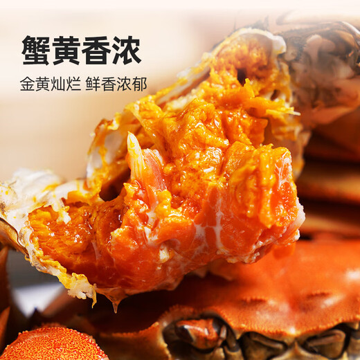 Live crabs, fresh hairy crabs from Xianjing, 3.5 taels of whole female crabs, 4 pairs of 8 pieces, full weight without rope, crabs, river crabs, fresh gift box