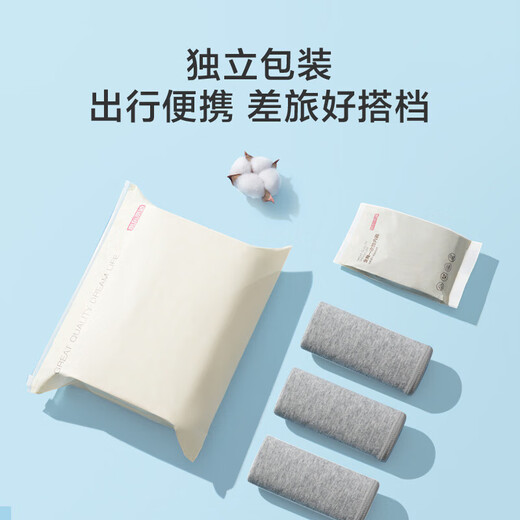 Made in Tokyo, pure cotton disposable underwear, men's boxer briefs, EO sterilized, disposable, daily throw away, business travel, 4 pack, XXL size