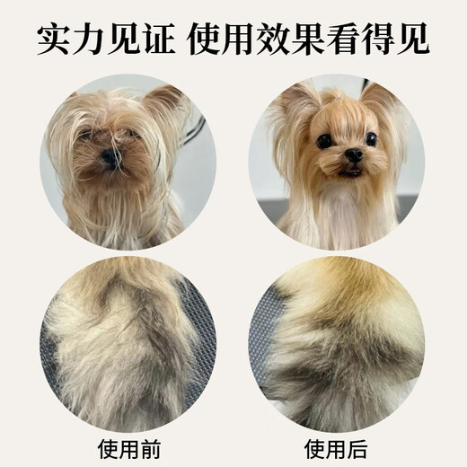 Blackbird pet needle comb to remove floating hair and open knots, cat comb, dog comb, size L, comb surface 11.5cmX4.4cm