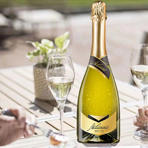 Artianne Italie importée Vin étincelant Champagne Type