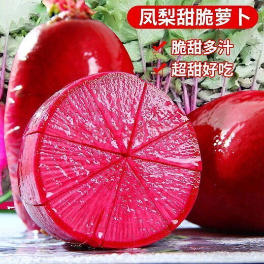 鲜木凤梨水果萝卜种子生吃紫美人萝卜胭脂萝卜籽夏季四季蔬菜种子大全 精品原装[1098粒]五包