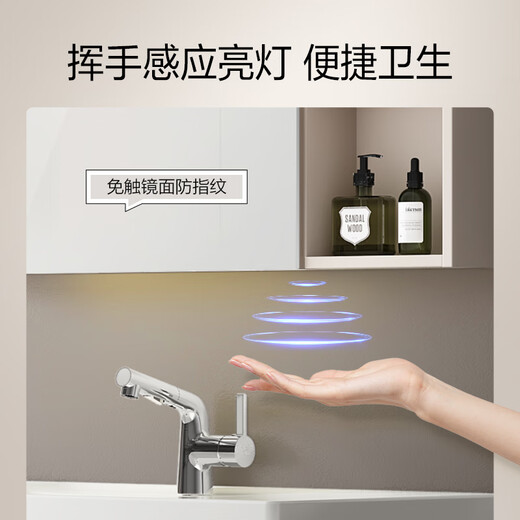 Hengjie (HEGII) BABJETO DE BAÑO CERÁMICA Integrada Madera Ecológica Gran capacidad Particionamiento Almacenamiento Combinación del gabinete de lavado de baño [Normal] 6223 Color de nogal 80 cm
