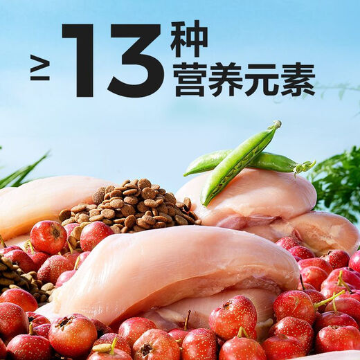 NetEase carefully selects dog food for puppies and adults, general-purpose native dog, Corgi, Husky, big bag, small and medium-sized dog main food, 2kg bag, care for the stomach and intestines, strengthen the body, formula