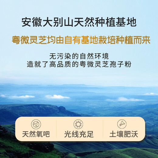 粤微牌灵芝孢子油软胶囊增强提高免疫力辅助保肝护肝破壁孢子粉精华萃取营养保健品探病送礼含量25% 1盒*90粒【送36粒共126粒】