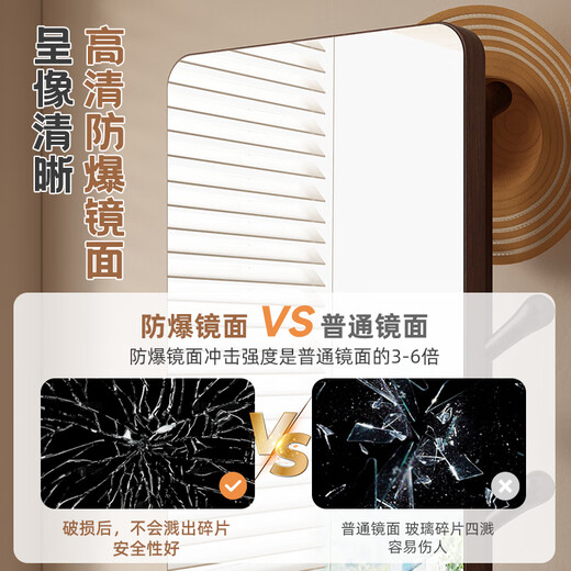 密林实木穿衣镜衣帽架镜子一体家用全身镜卧室可移动落地镜 旋转大号