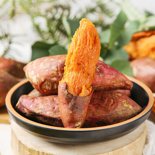 Jingmi Shandong Tobacco Sweet Potato 25 Sweet Potatoes Net Weight 4Jin Jin is equal to 0.5kg Packed Single Fruit 150g+ Freshly Digged Sweet Potatoes Straight from the Source