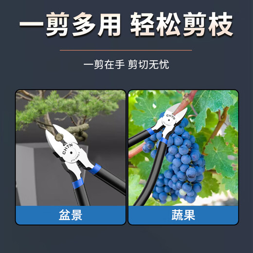 Chint nozzle shears, nozzle pliers, bonsai pruning and styling tools, leaf bud shears, flower pruning branch shears, garden shears, 5-inch pruning shears, standard style