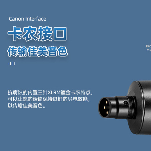 Burren Bell BL-500 condenser microphone audiobook recording equipment professional anchor recitation dubbing broadcast set recording studio grade BL-500 + Yamaha UR12 set (book recording recommended)