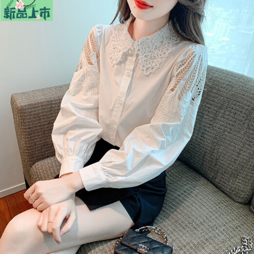 艾妃琳刺绣纯棉衬衫女2025年秋装新款时尚绣花白色衬衣宽松百搭长袖上衣 CY9227 白色 S 【建议75-95斤】