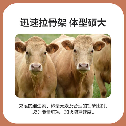 East China Zhengda 4% beef cattle and sheep premixed calf and lamb fattening cattle and sheep material to fatten and gain weight, pull the skeleton without diarrhea, 1 bag of special material for mutton and sheep