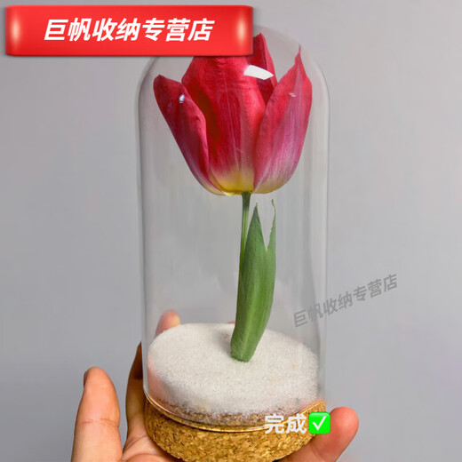 
Cork immortal flower glass cover rose ornament blind box dustproof dry flower glass cover display box cylindrical 1517cm cork base