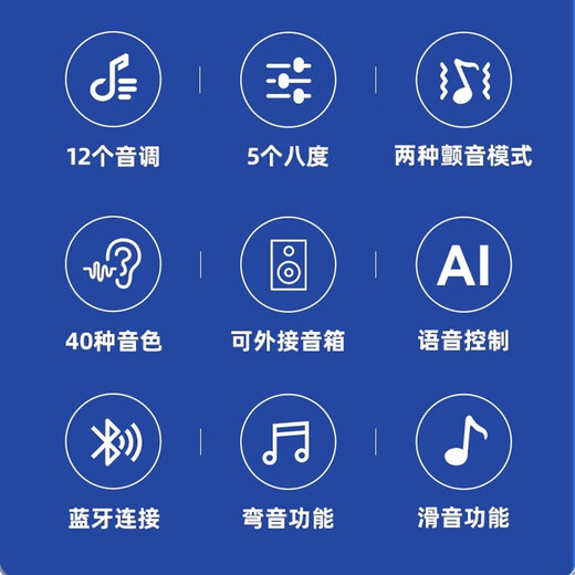 百诺华夏之韵电葫芦丝乐器国产电子吹管葫芦丝电子笛电萨初学者乐器 红花梨色
