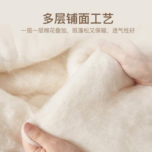 Hengyuanxiang cotton quilt antibacterial Class A 100% Xinjiang cotton quilt autumn and winter double thickened quilt core 7Jin [Jin equals 0.5kg] 220x240cm