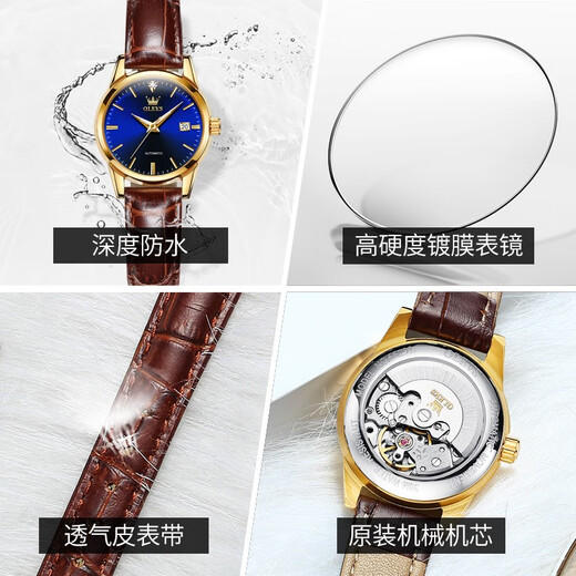 Olevs Swiss Certified Brand Watch Women's Vollautomatische mechanische Uhr Luminous Water of Women's Watch Einfaches Temperament Licht Luxus Frauen Uhr OLEVS-6629 Women-Brown Leder Blue Face