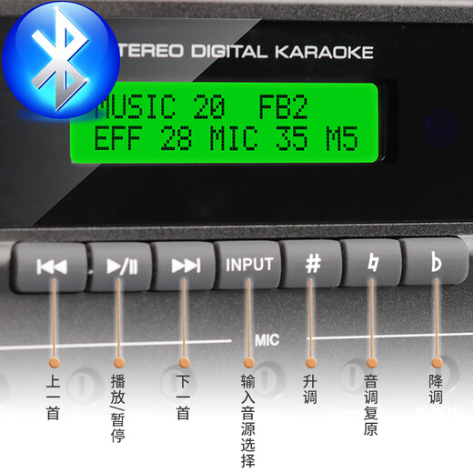 TKL SE series pre-amp effector with power amplifier all-in-one home intelligent suppression and anti-howling home karaoke digital reverberation amplifier KTV SE700 (500W*2)