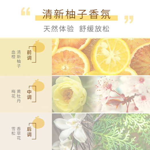丝蕴（syoss）洗发水清新柚子控油蓬松洗发露680ml 去屑头皮清爽洗头膏