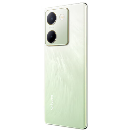 vivo Y100 超薄5000mAh电池 6400万OIS光学防抖 44W超快闪充 5G智能拍照手机 琉云青丨Y100（骁龙695） 12GB+256GB