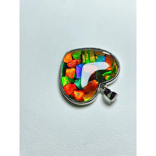 DRJEFUN Canadian Ammonite Pendant Ammonite Pendant Ammonite Pendant