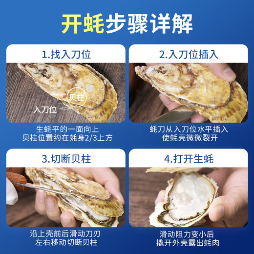 Bassling Fresh Rushan Oysters 4XL Net Weight 10Jin Jin is equal to 0.5kg 20-26 pieces Straight from the source